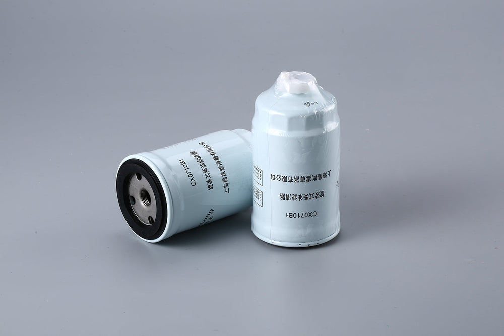 Fuel Filter CX0710B1