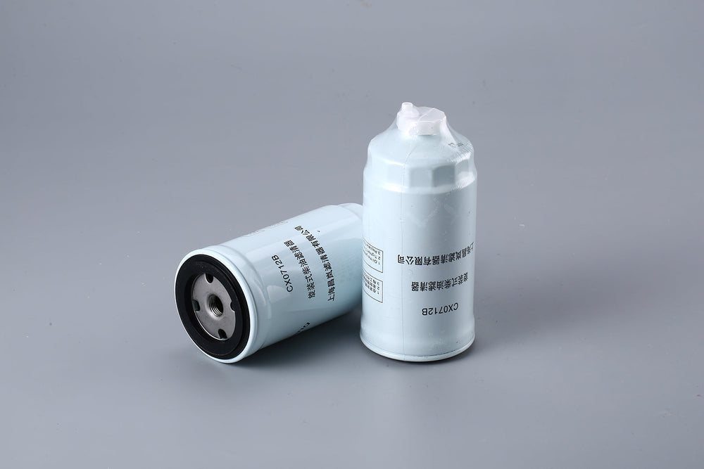 Fuel Filter CX0712