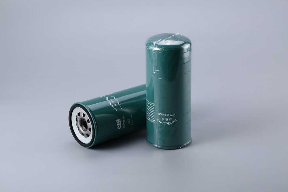 Fuel Filter 1117050A81DM